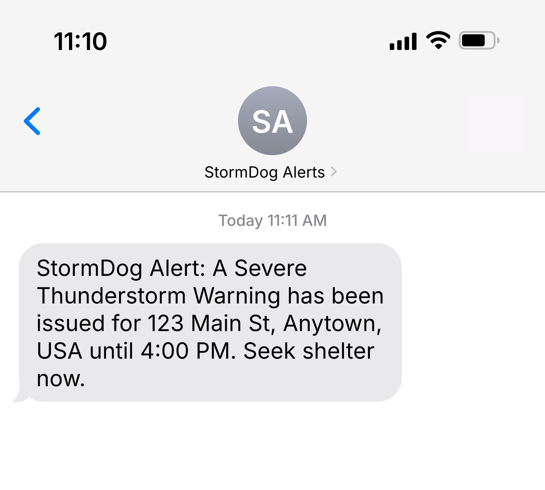 StormDog Preview